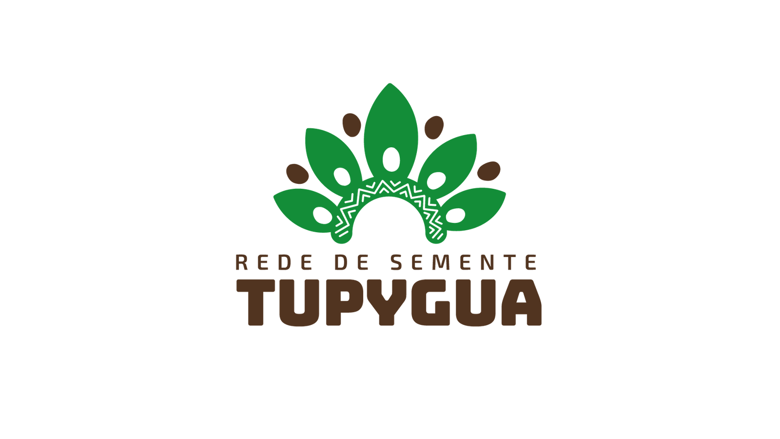 Rede Tupyguá