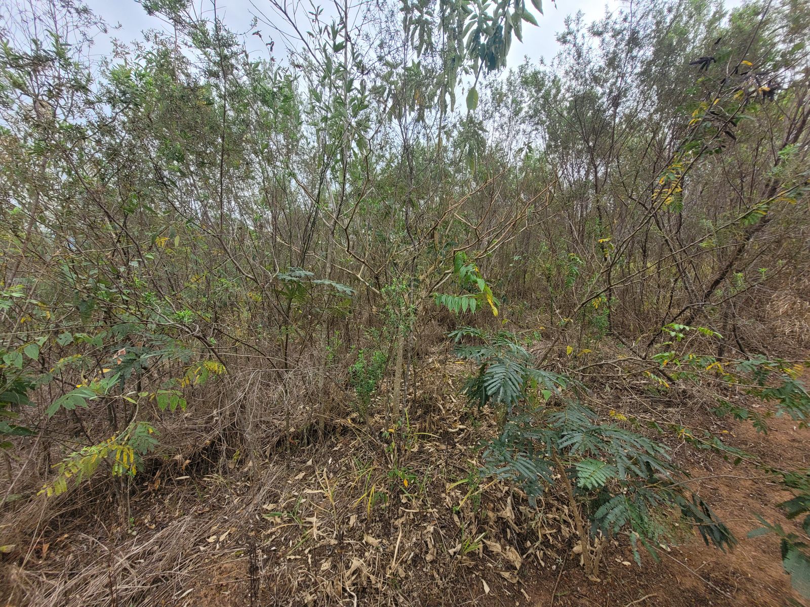 UA - Da Serra Ambiental, Piracaia-SP