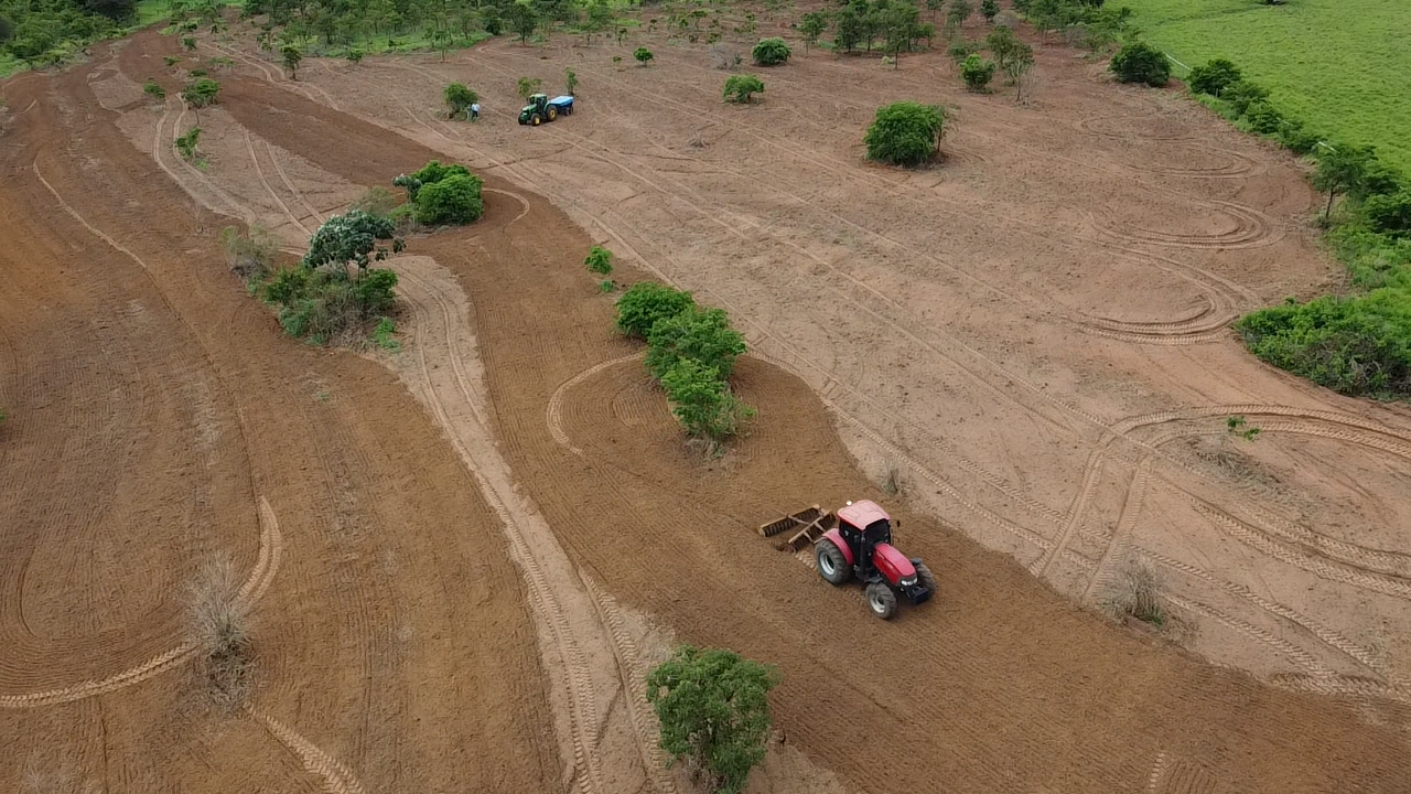 UA - Fazenda Santa Lúcia, Piquerobi/SP