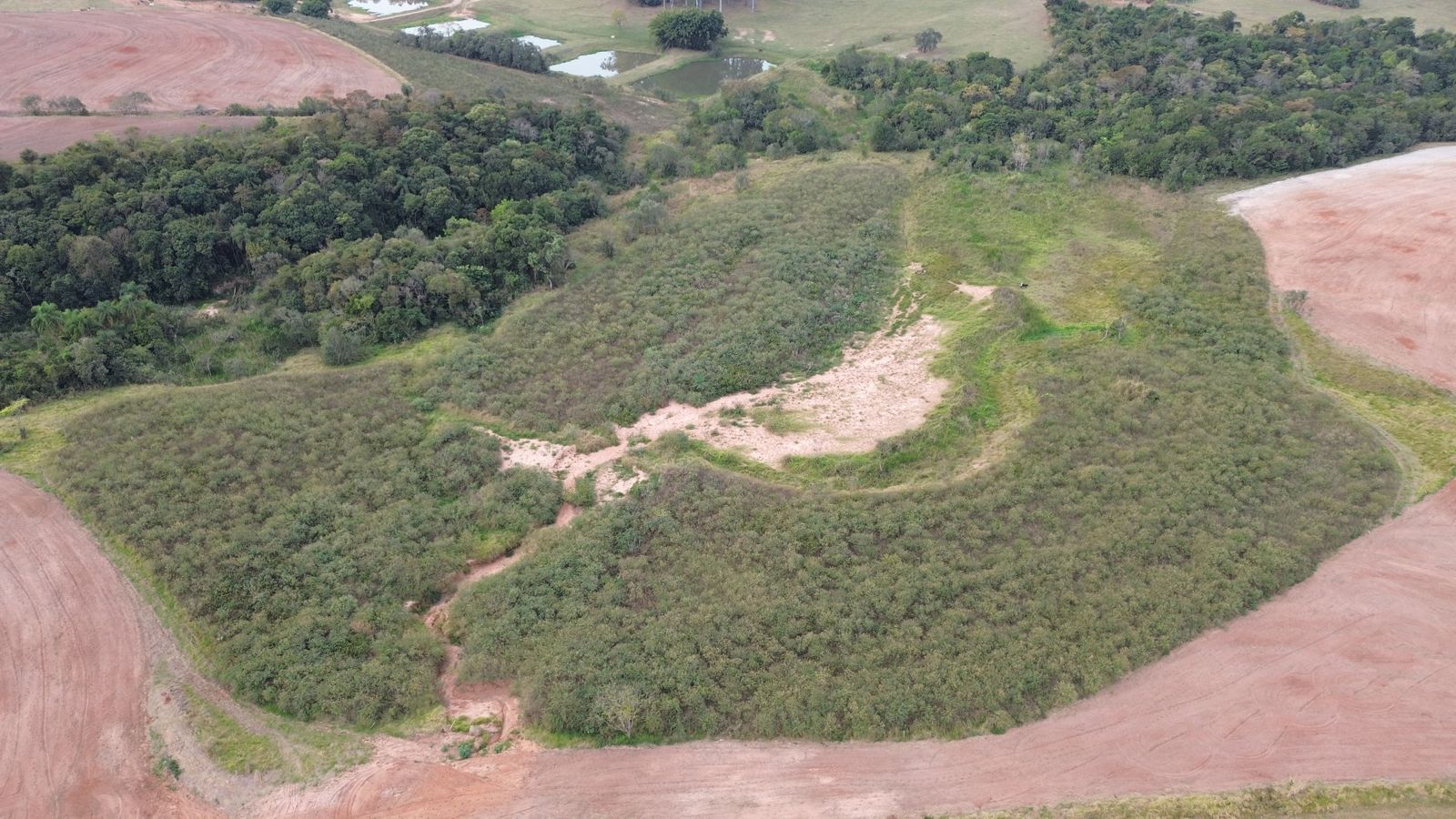 UA - Fazenda Santa Helena e Santa Bárbara, Espírito Santo do Turvo/SP