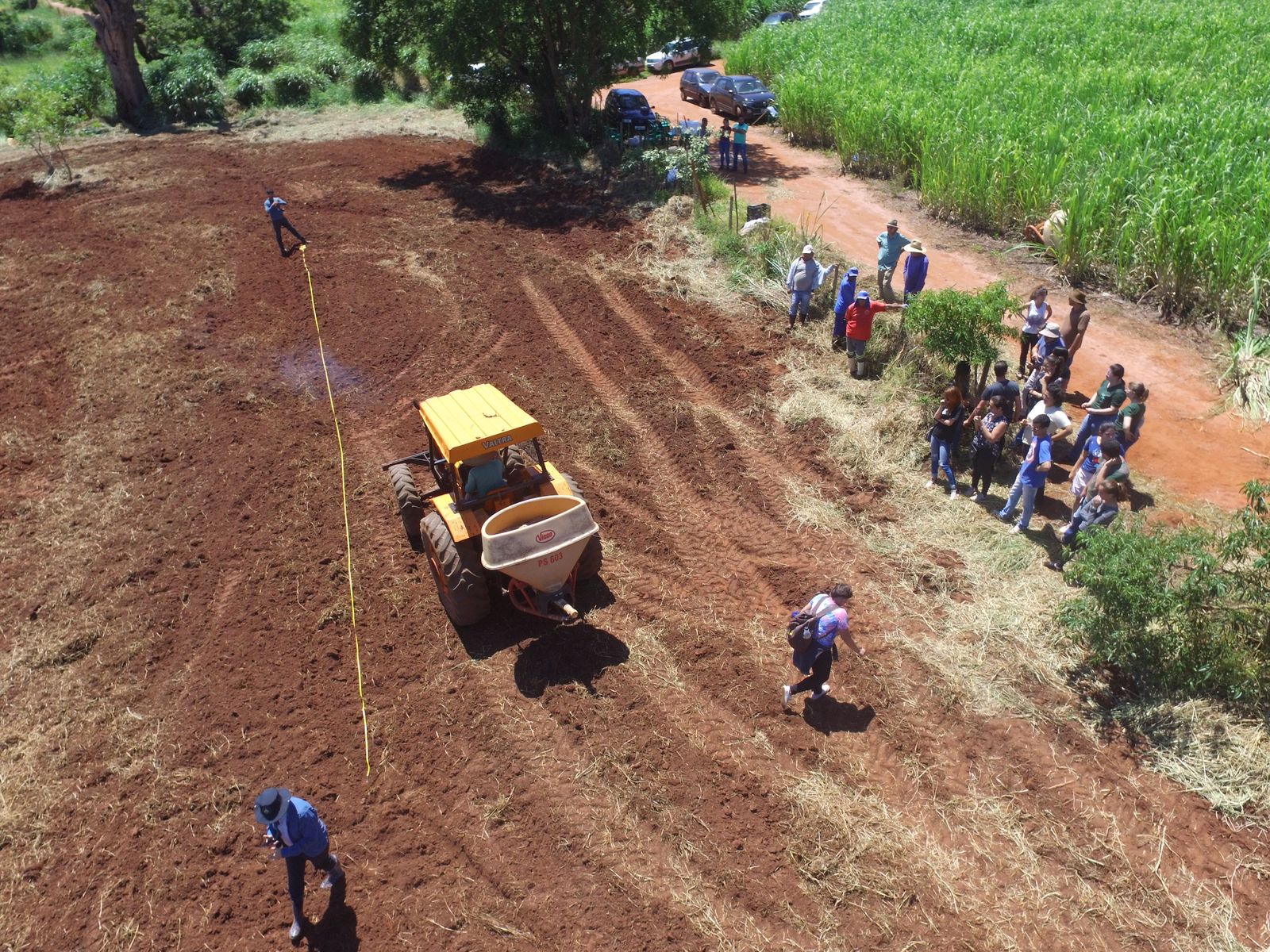 Curso sobre Restauração Ecológica de Vegetação Nativa é disponibilizado gratuitamente e online