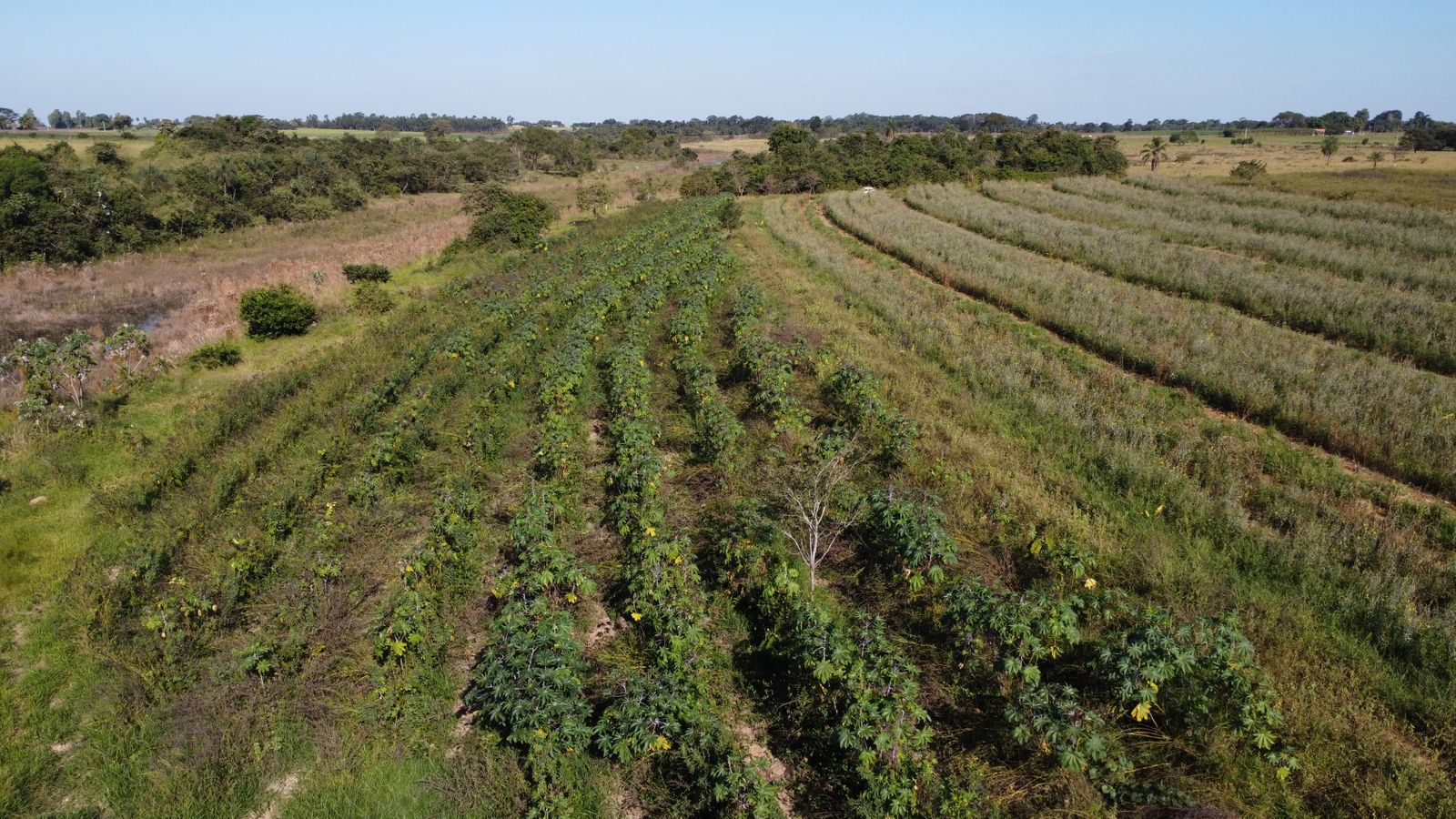 UA - Sítio Botelho, Promissão/SP