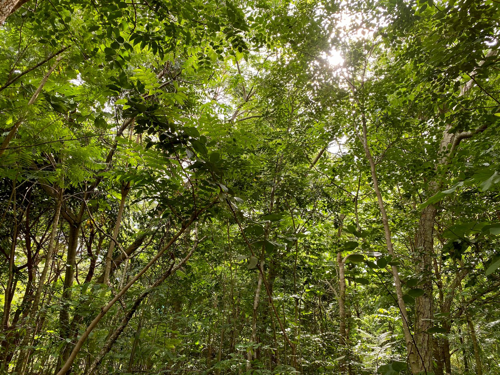 UA - Fazenda Monjolinho, São Carlos/SP