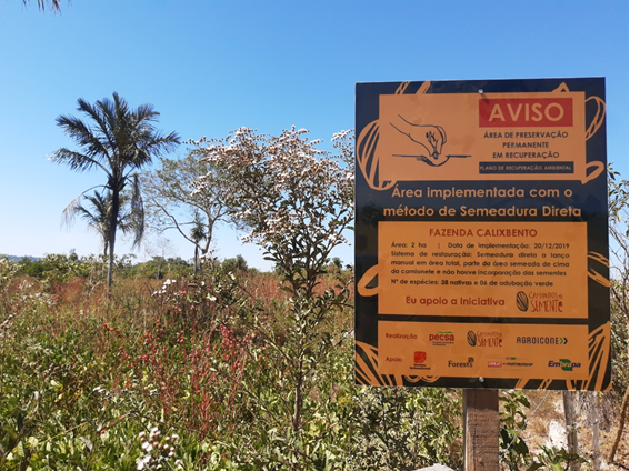 Rede de Unidades de Aprendizagem da Semeadura Direta é lançada para estimular troca de experiências