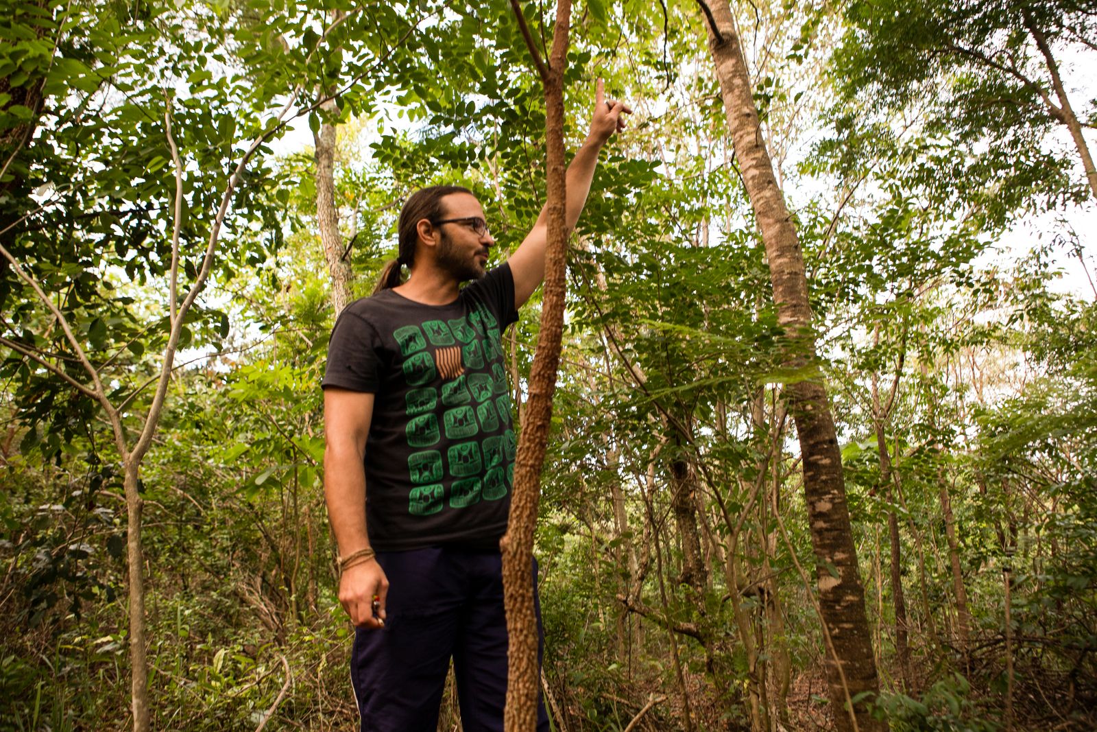 Publicação inédita apresenta 14 experiências de restauração com semeadura direta