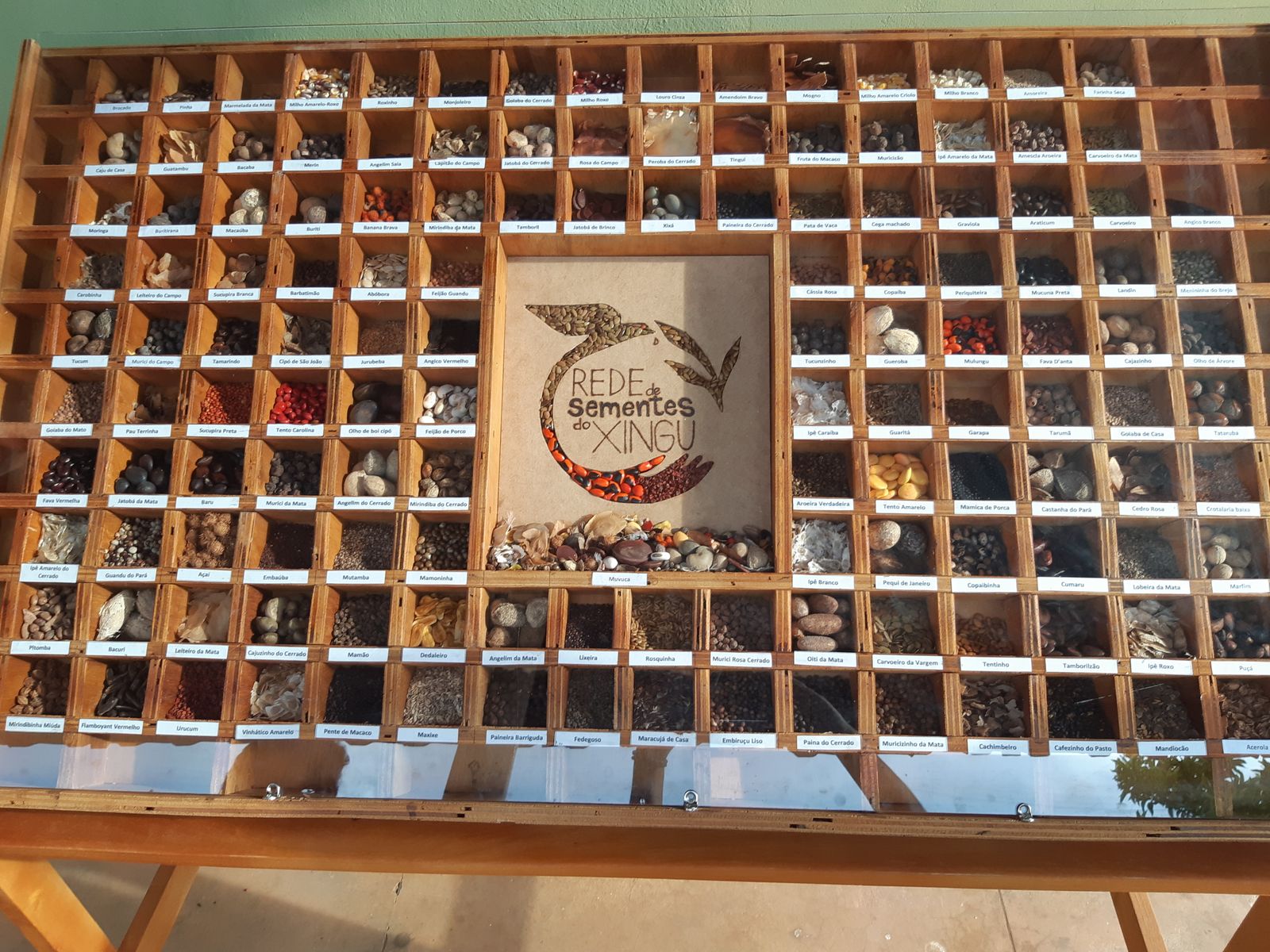 Rede de Sementes do Xingu recebe o Prêmio Equatorial 2022, do PNUD