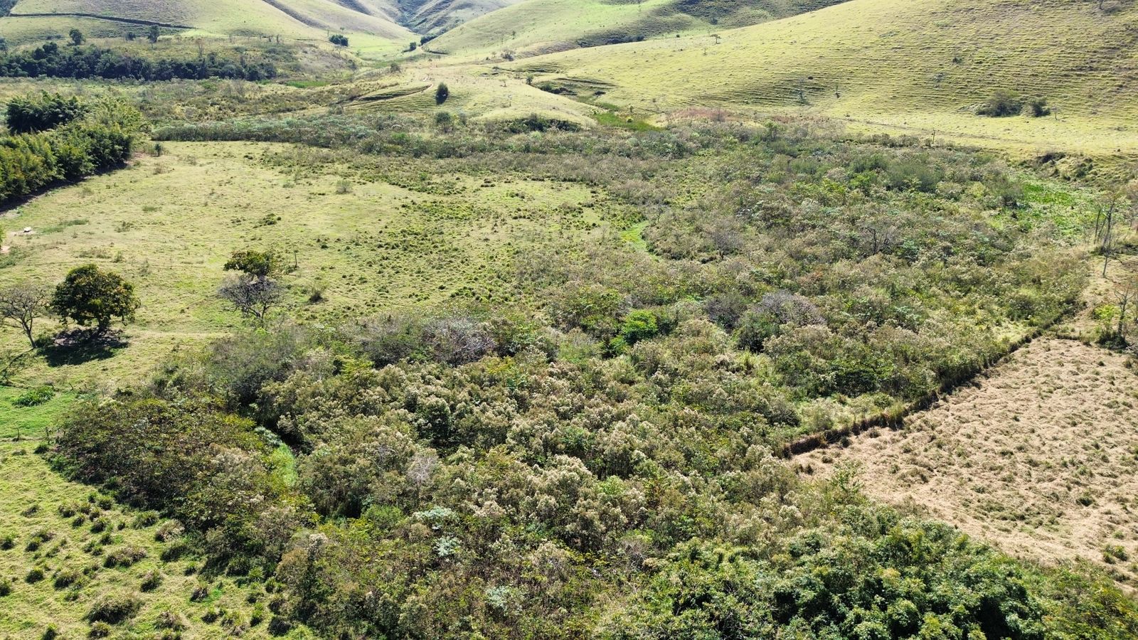 UA - Fazenda Água Limpa I, Cruzeiro/SP