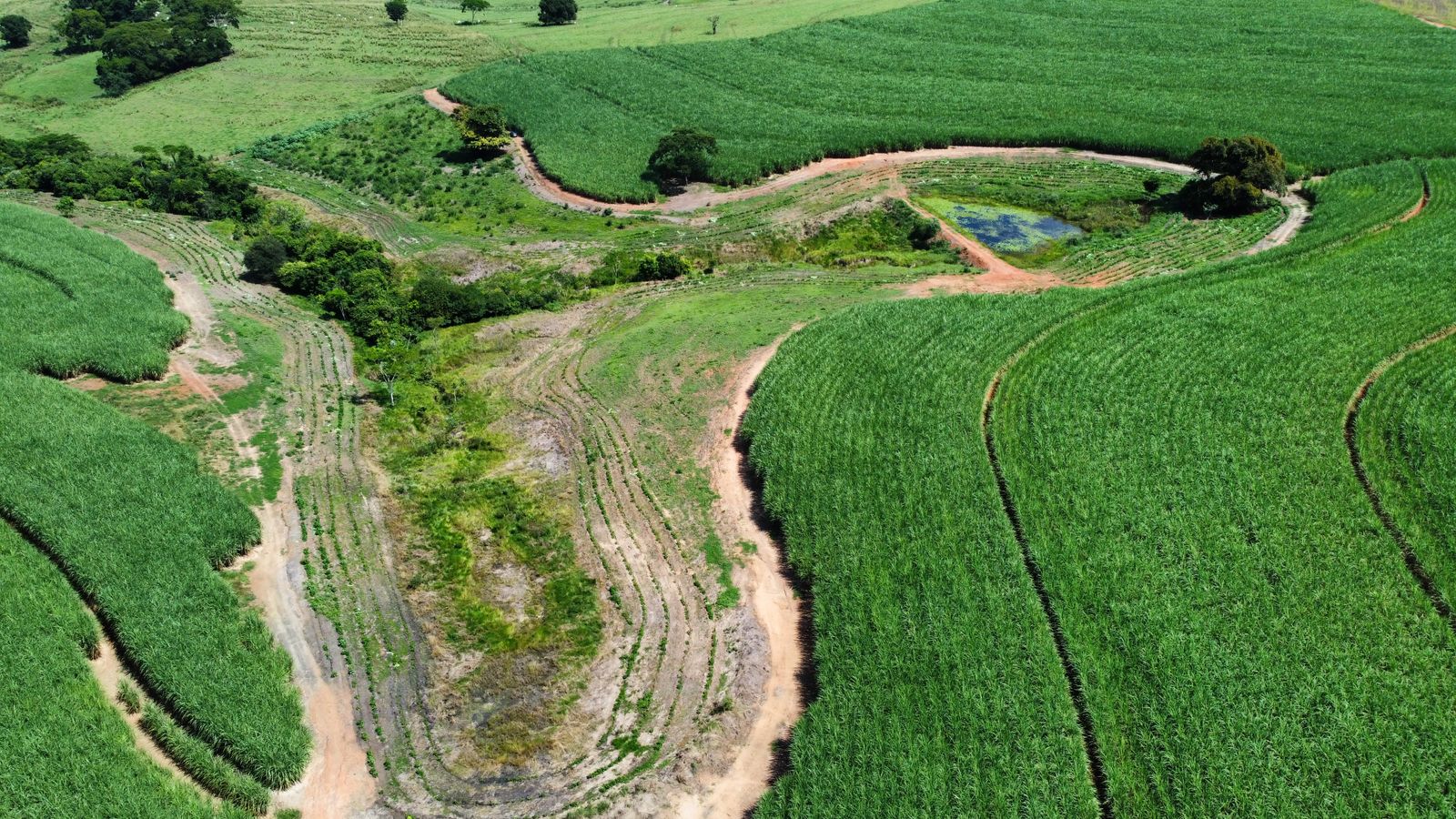 UA - Fazenda Pau D'alho, Promissão/SP