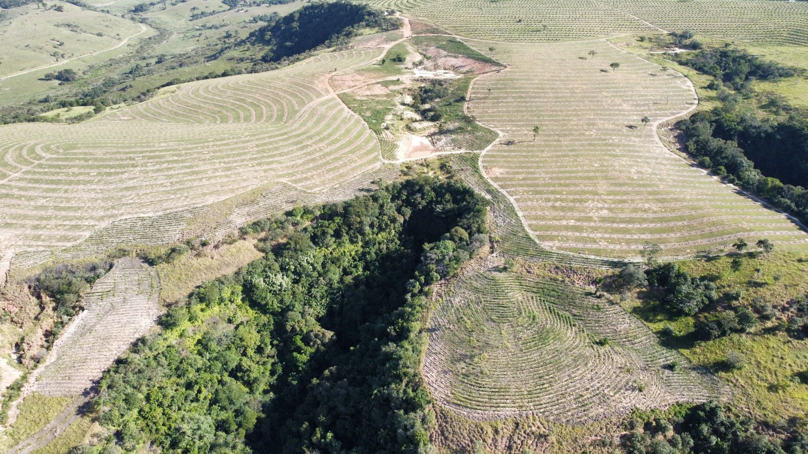 UA - Fazenda São Jorge, Torre de Pedra/SP