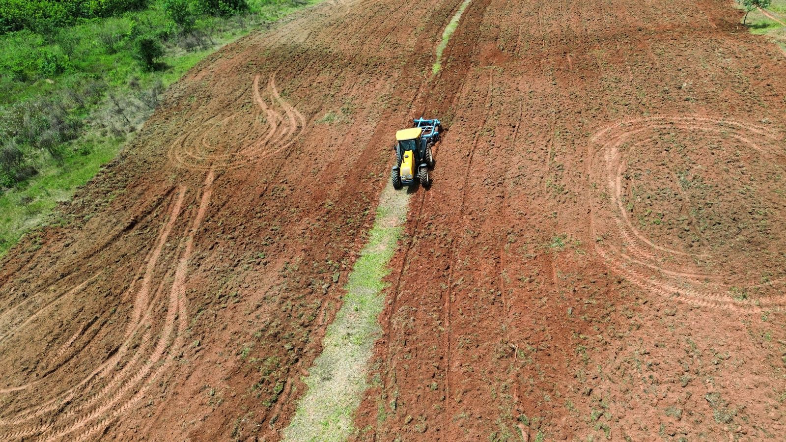 Com semeadura direta, Iniciativa Caminhos da Semente promove restauração ambiental em Flora Rica