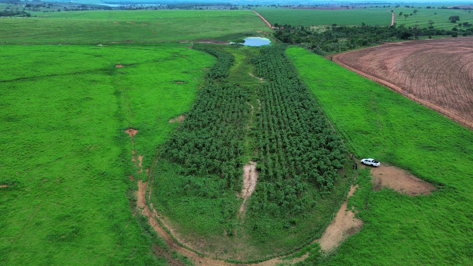 UA - Grupo Campanelli, Santo Antônio do Aracanguá/SP
