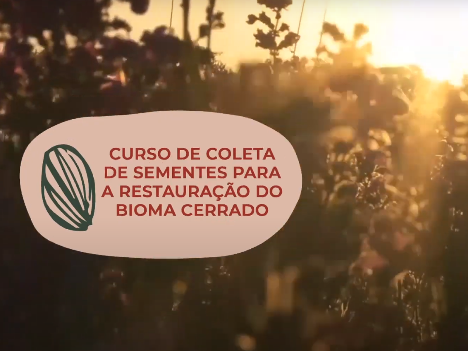 Iniciativa Caminhos da Semente realizou primeiro curso EaD para coletores