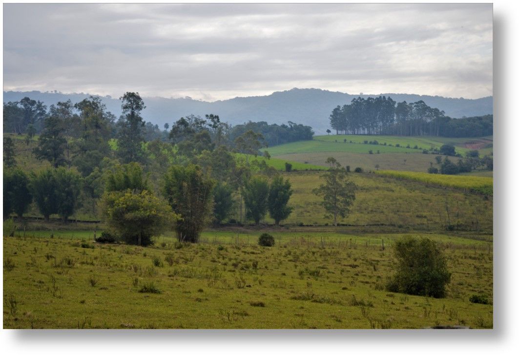 NEPRADE na transição Mata Atlântica - Pampa, São Pedro do Sul/RS